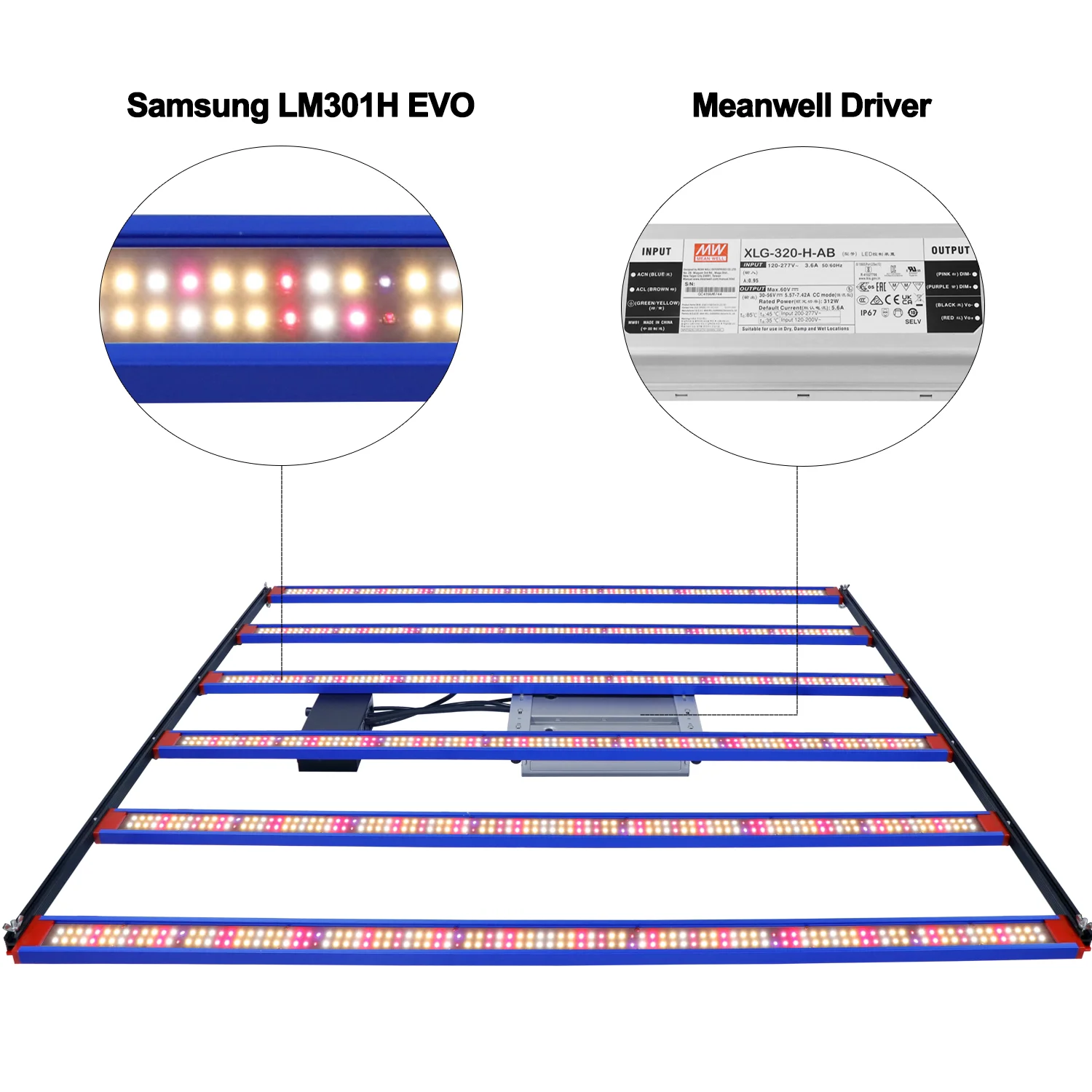 الطيف الكامل 650 واط LED مصباح نمو النبات LM301H EVO الأشعة فوق البنفسجية عكس الضوء LED مصباح نمو النبات