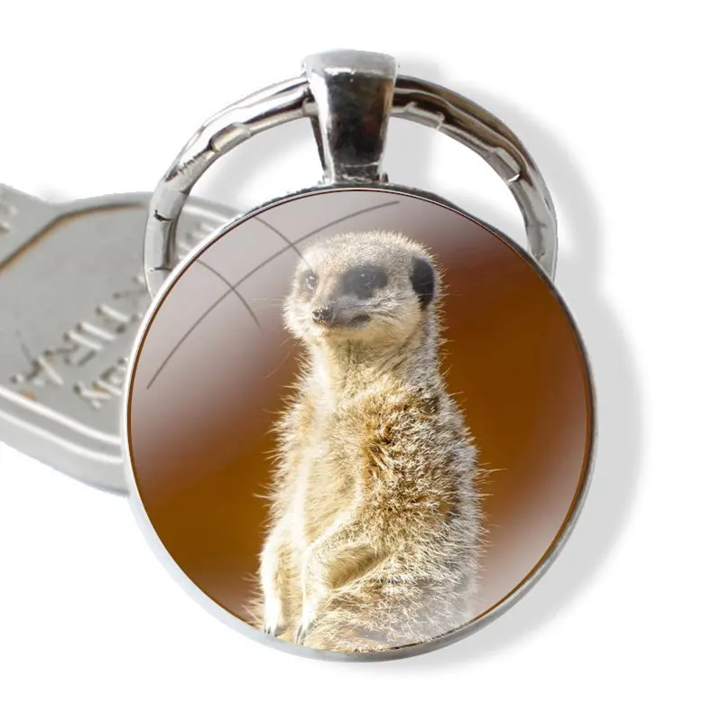 Glazen Cabochon Sleutelhanger Auto Sleutelhanger Bedels Sleutelhangers Geschenken Schattige Baby Meerkat Accessoires Telefoonhoesjes Hoesjes Hoesjes