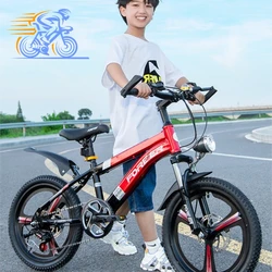 SKIG Mountain Bikes for Boys and Girls, Bicycle for Children, Mountain Bikes for Elementary School Students, Camping, Aged 7-13