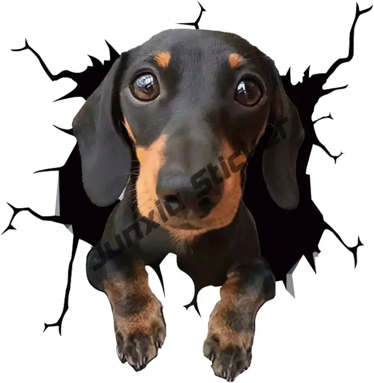 Cute Dachshund Pet Puppy Peeking Out of The Window Car Sticker Animal Accessories Dachshund on Board Dachshund Sausage Dog Decal