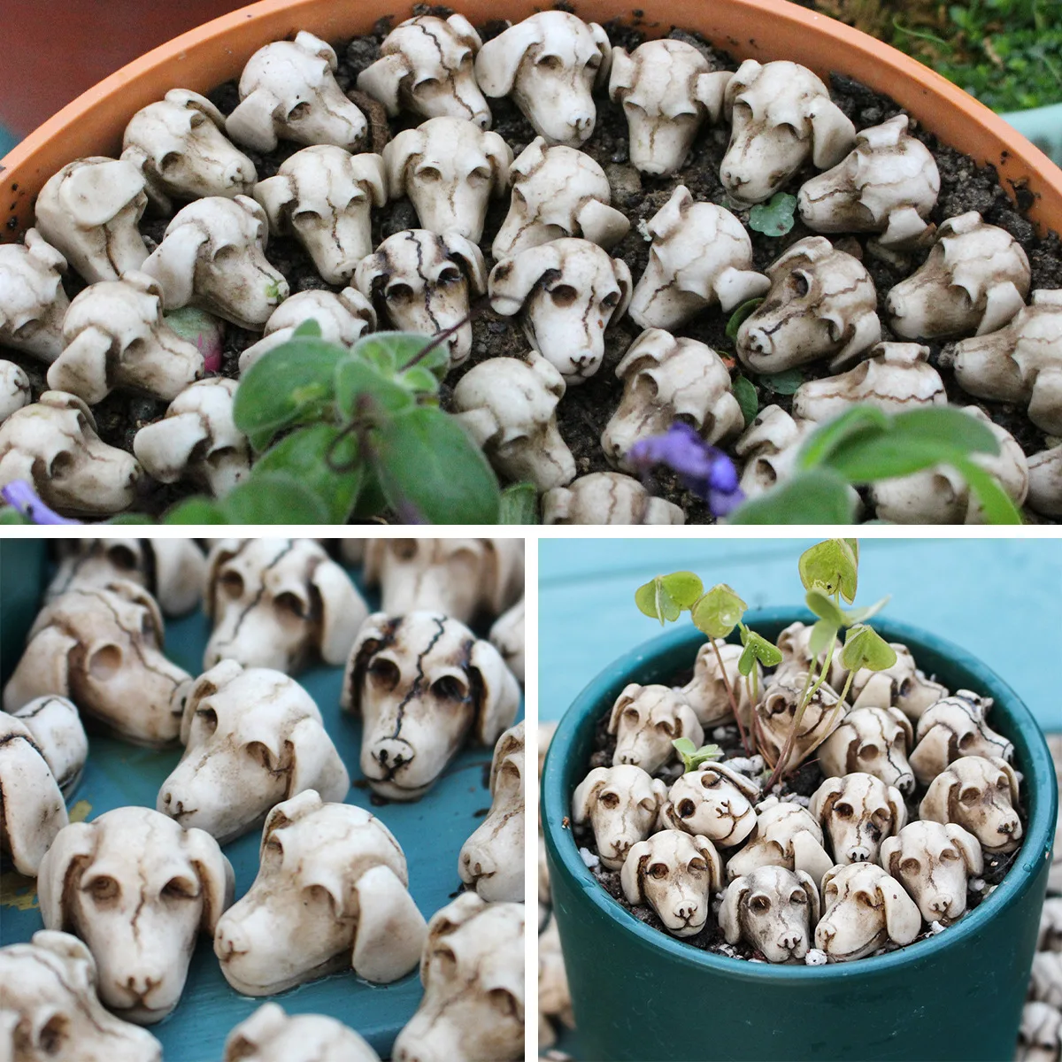 Resin Cracked Dog Head Set - 20-Pack Miniature Garden Decor, Spooky Porch Display for Party & Home