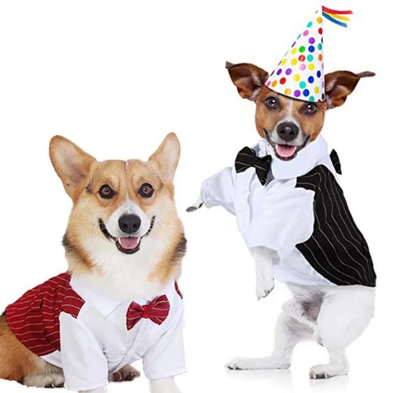 Boy Dogs Tuxedo Suit with Bow-tie for Birthday Dog Suit Bow Tie Costume Gentleman Small Dog Wedding Party Suit Pet Puppy Clothes