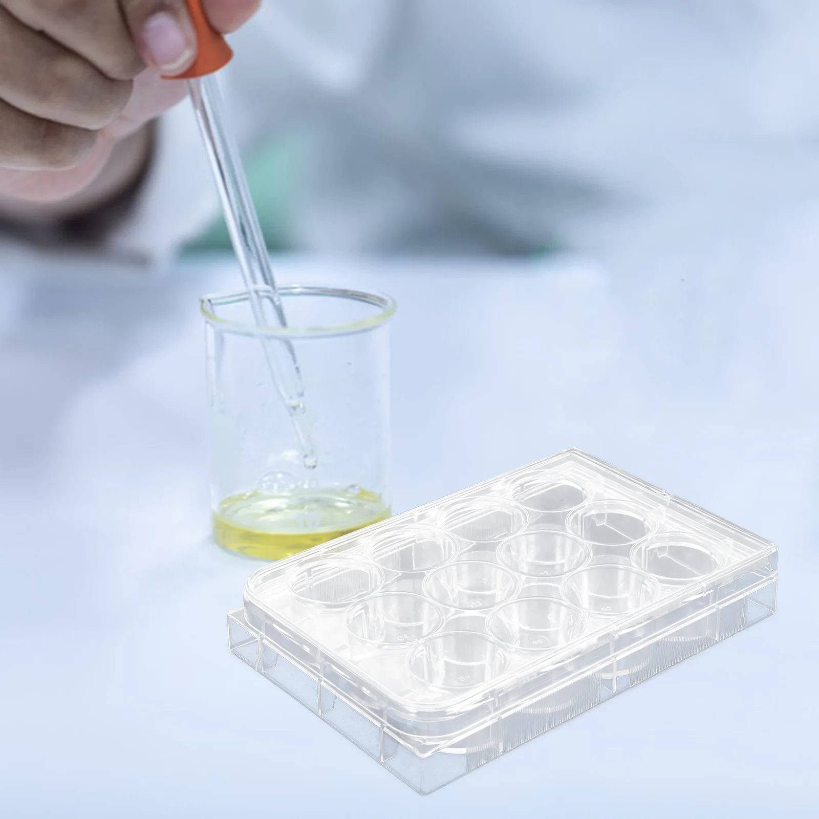 

10 Pcs Culture Plate Tissue for Laboratory Cell Tray with Lid High Transparency