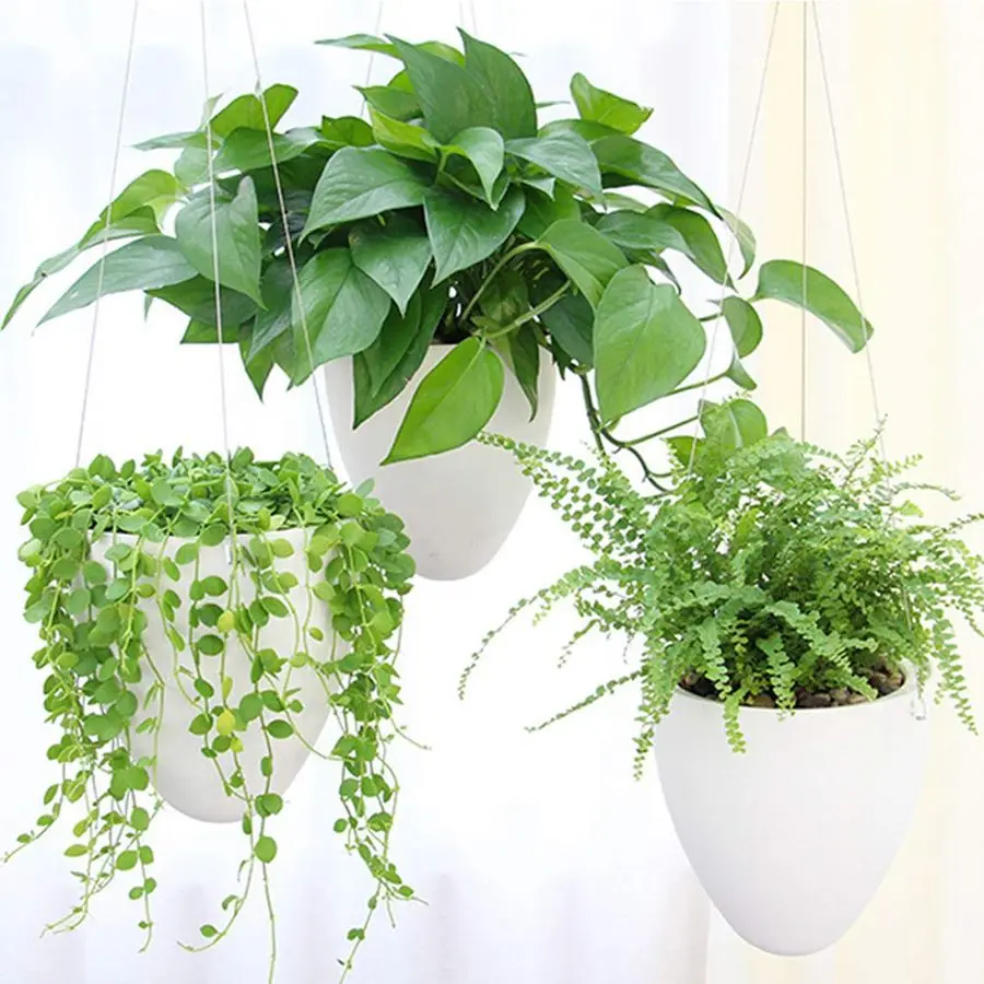 

Набор из 3 самополивающихся подвесных кашпо, уникальные подвесные горшки для суккулентов и воздушных растений в форме яичной скорлупы, для дома