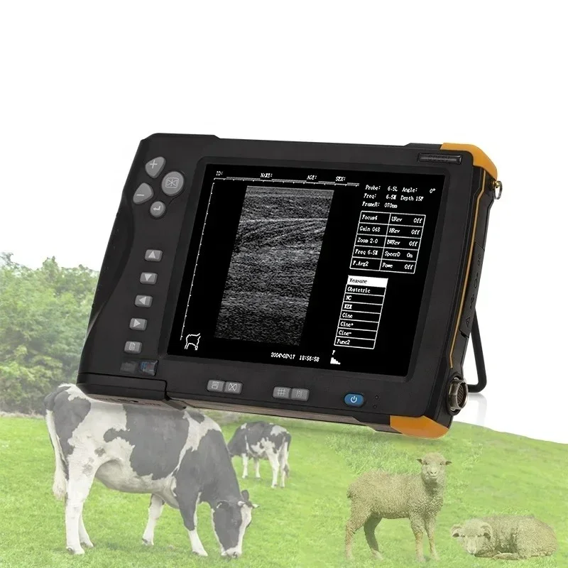 

Portable Ultrasound Machine Rectal Probe Durable Veterinary Ultrasound for Cow Sheep Veterinary Use with 7 probes