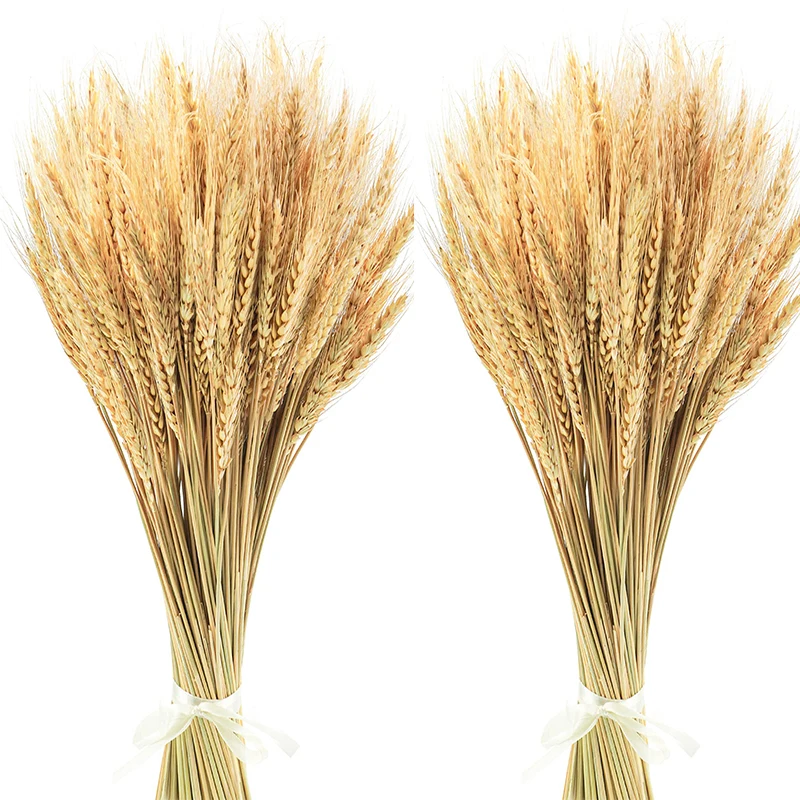 

50/100pcs Dried Wheat Stalks,Natural Wheat Dry Flowers for Home Kitchen Wedding Table Centerpiece Boho Farmhouse DIY Decoration