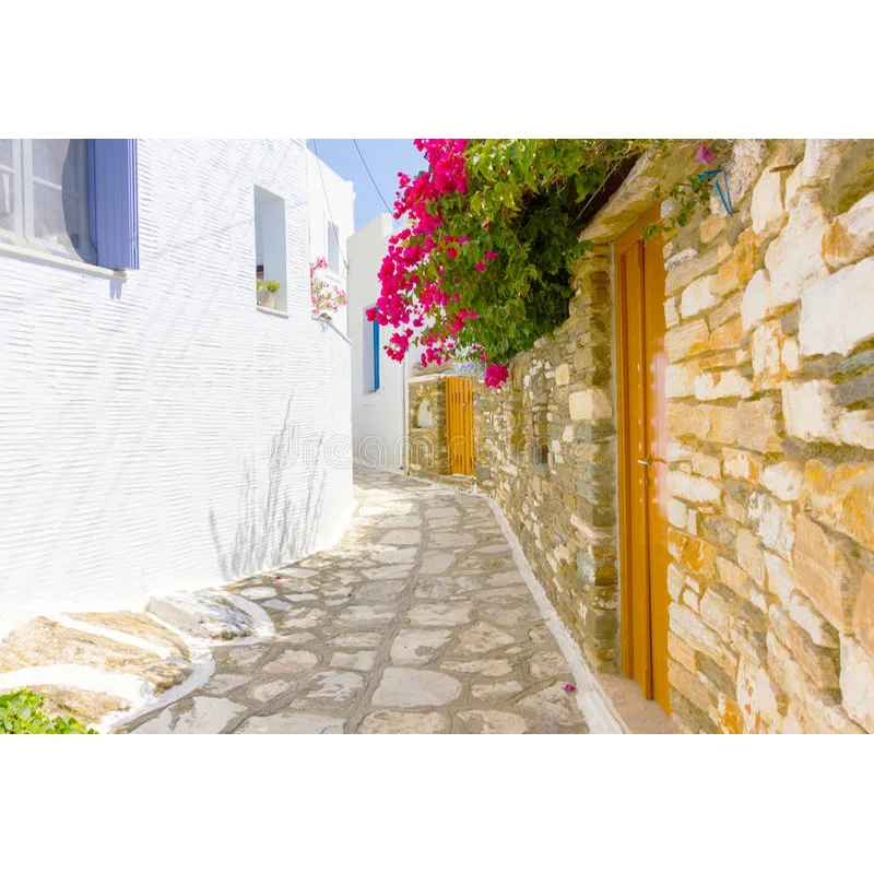 ZHISUXI Verde Retro Strada Mare Paesaggio Vecchie case verniciate bianche in fiore Foto di matrimonio Sfondo fotografico FSJ-08