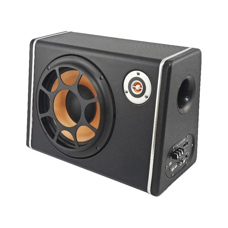 Custom 10 Inch Stereo Car Subwoofer Speaker Box Peak 700W Car Active Amplified Subwoofer with Strong Bass