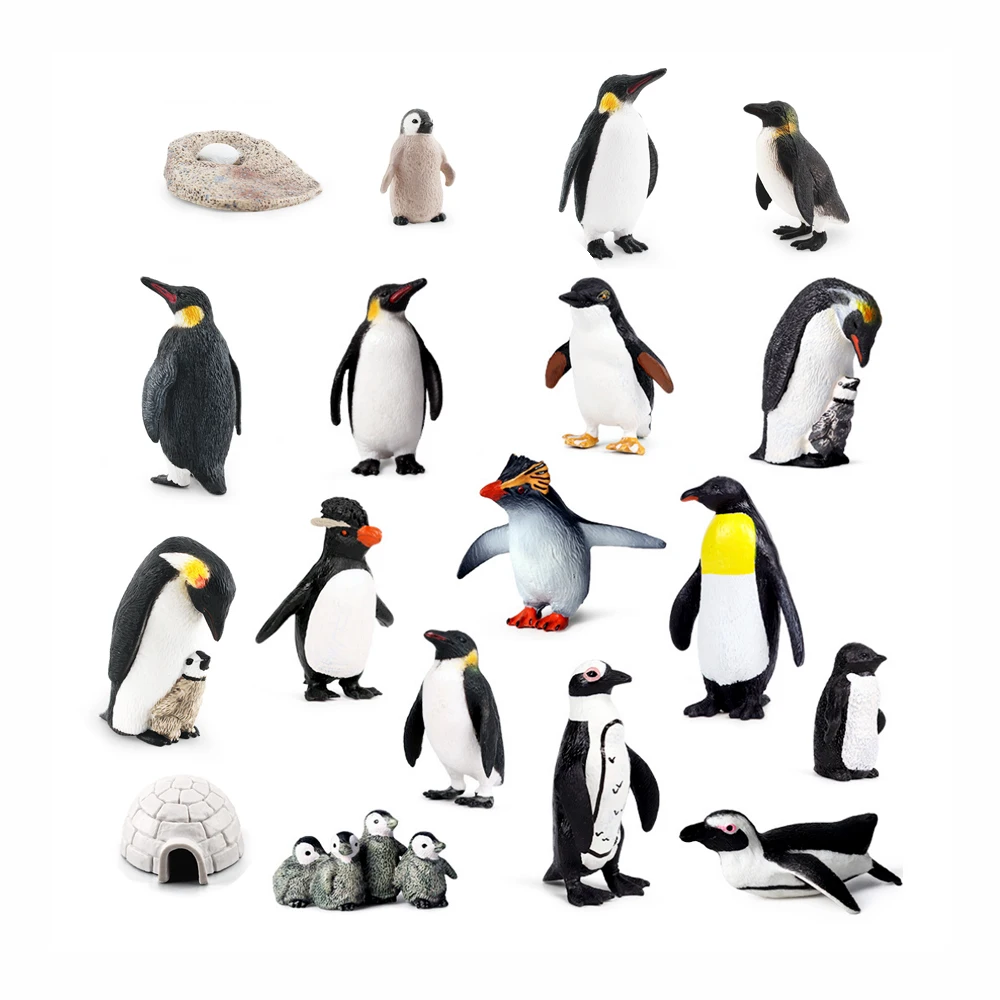 AliExpress SamKaLa Realistic Plastic Growth Cycle Penguin Figurines Varieties of Penguins Polar Arctic Animal Figures