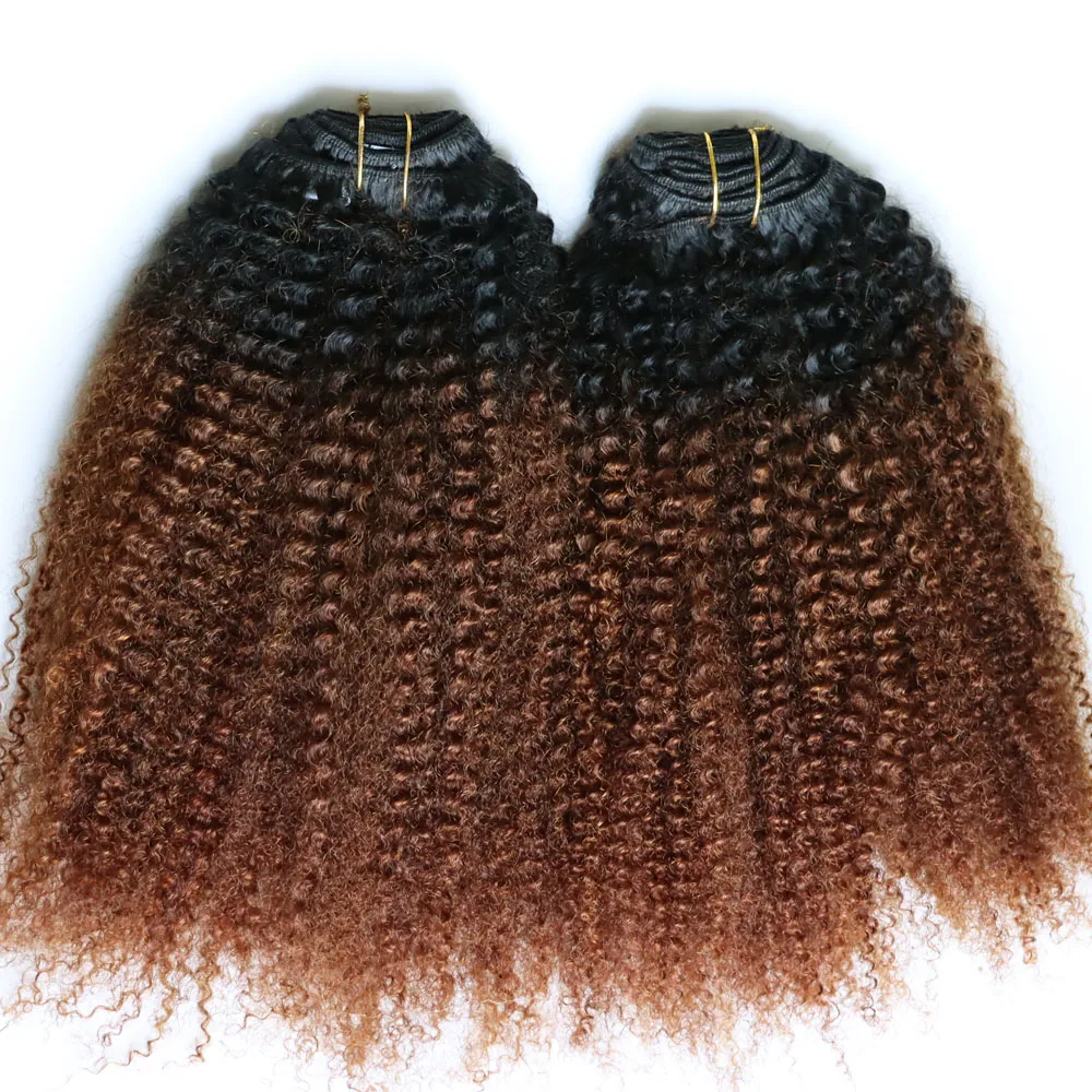 Clip In Extensions Real Human Hair for Black Women 120 Grams Virgin Remy Human Hair Extensions Ombre Brown Clip In Human Hair