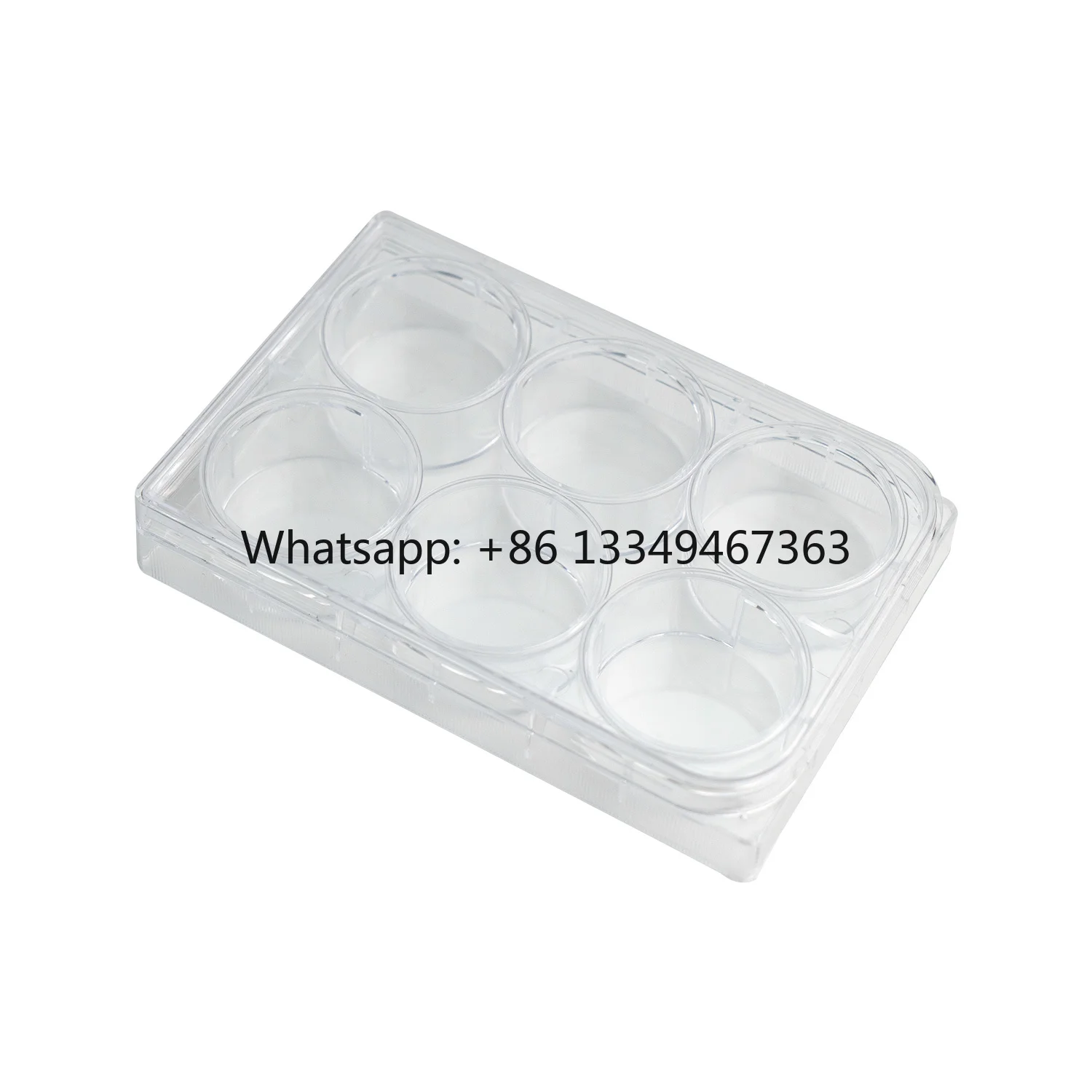 

Manufacturer Laboratory Disposable Tissue Culture Plate 6 Well Sterile Tissue Culture Plate With Cover Factory