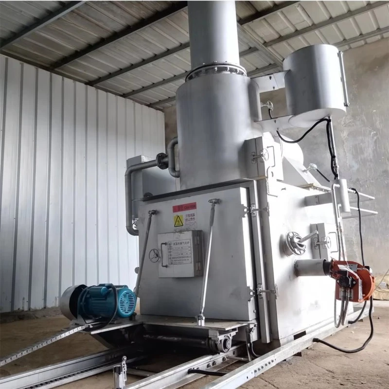 Pet Cremator Pet Funeral Home 50kg H Smokeless Cremation Machine Commercial Sale Support Custom
