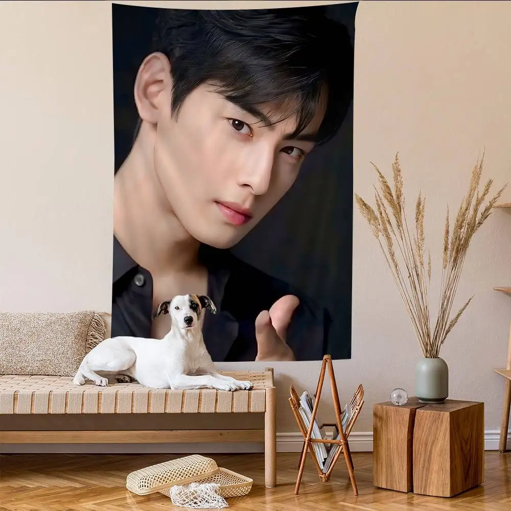 C-Cha-EunWoo Elegant-Gentle Colorful Tapestry Wall Hanging Hippie Wall Hanging Bohemian Wall Tapestries Mandala Wall Hanging