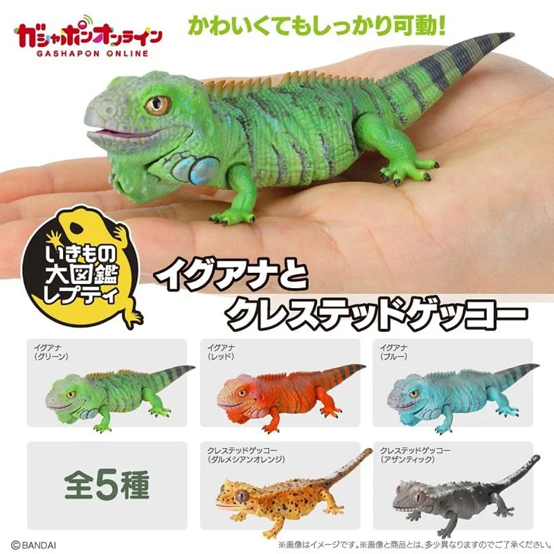 Japanese Genuine Gacha Scale Model Biological Cognitive Model American Lizard and Eyelash Gecko Decoration Action Figure Toys