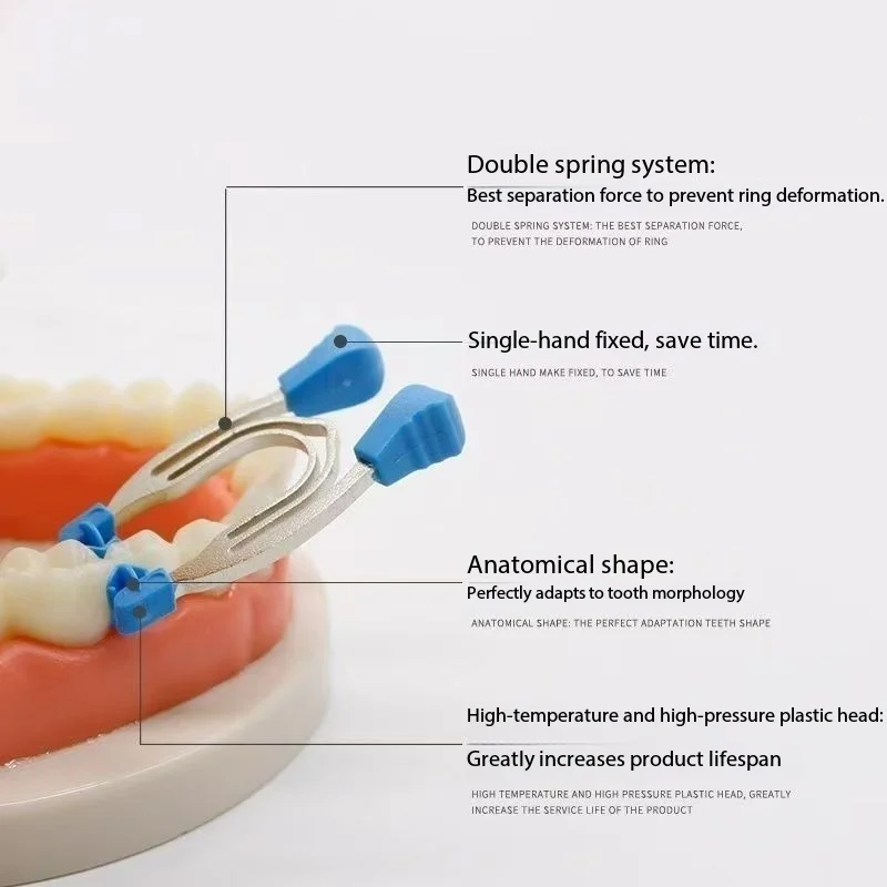 Dental Sectional Contoured Matrix Ring Autoclavable Dentistry Metal Matrices Clamping Ring Clip Separator Dentist Materials