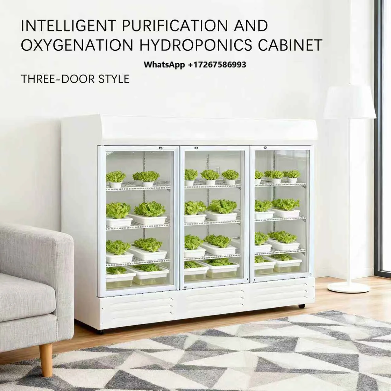 HZ-3 HEZHOU Automatic Small Indoor Hydroponic Cabinet Vertical Farming System | Multi-Layer Smart Planting ABS Cover Vegetable