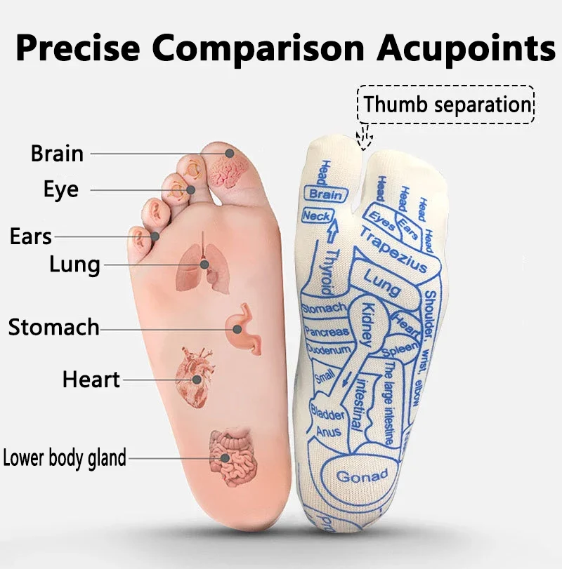 Acupressure Foot Massage Socks Traditional Medicine Meridian Diagram Hosiery Reflexology Sock Pressure Point Map Unisex Wellness