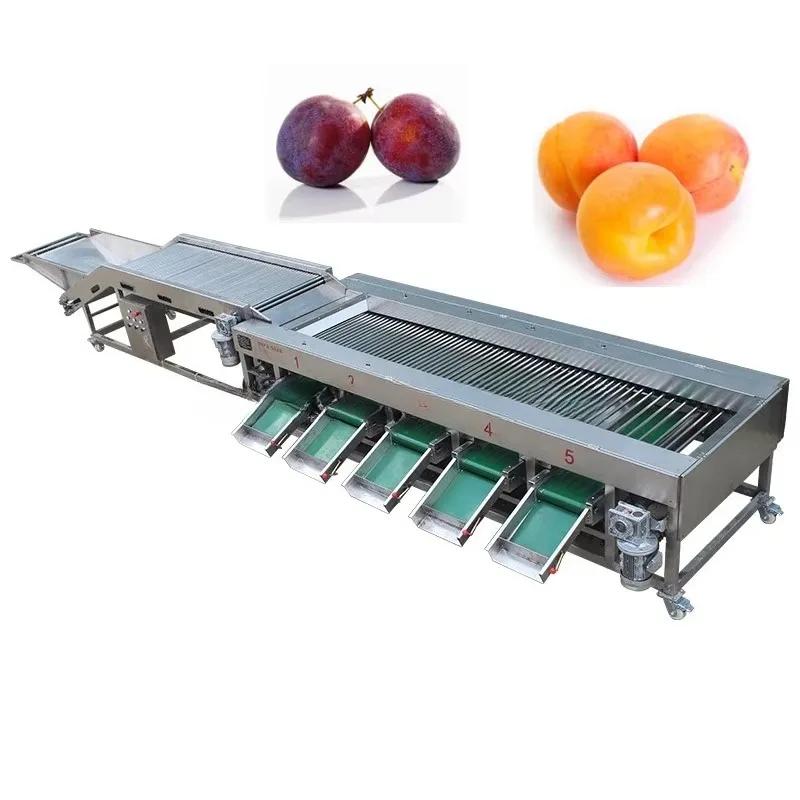 Vegetable/fruit Sorting Machine  Potato Tomato Garlic Chili Pepper Onion Carrot Cucumber Mushroom Grading Machine Customized
