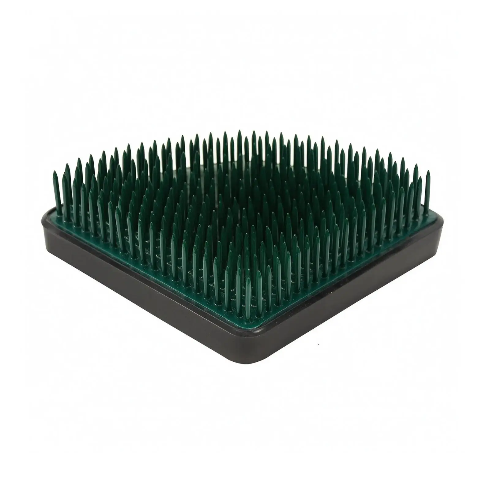 Flower Arrangement Pin Holder with Sturdy Steel Low Profile Base for Floral Design Work Desk Vase and Tabletop Use