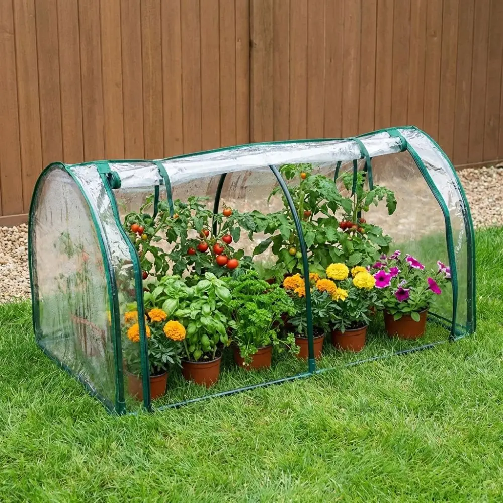 Transparent Mini Plant Greenhouse Waterproof Plastic Insulation Cover Bird-proof Efficient Protect Plant Protection Cover
