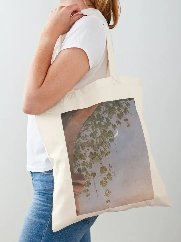 Renaissance Abbey Painting Tote Bag female bag tote bags men custom fabric bag