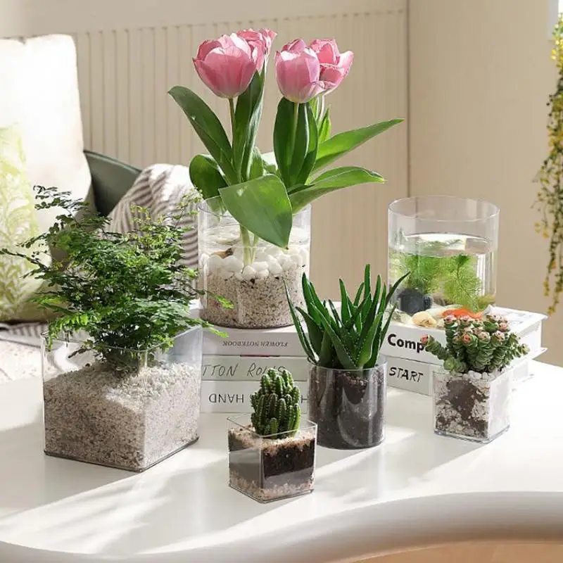 Acrylic Clear Nursery Pot for Plant Propagation Lightweight Transparent Flower Container for Indoor Outdoor Gardening