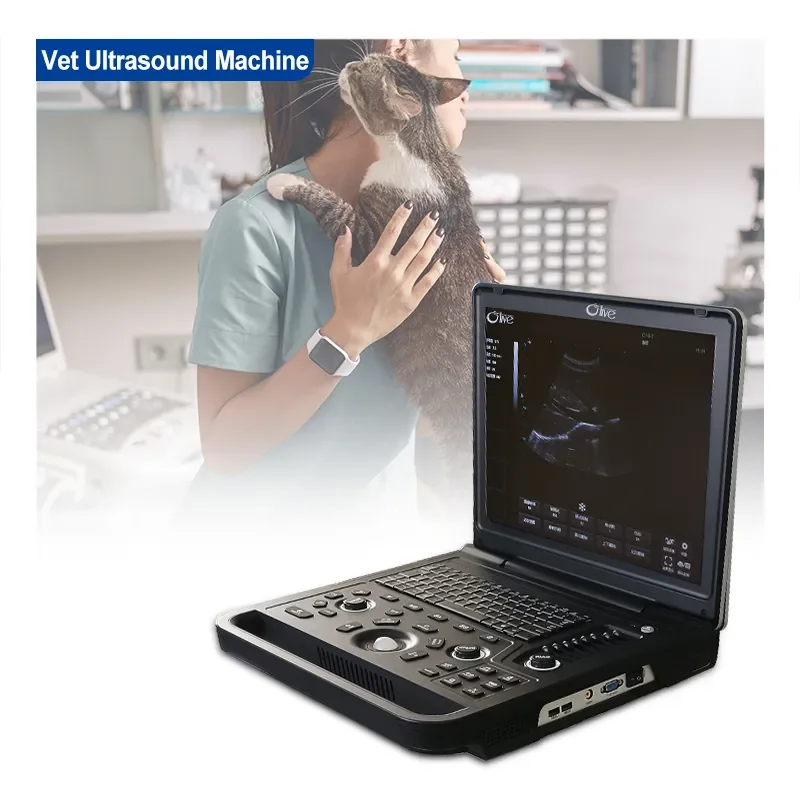 High Performance Portable Veterinary Ultrasound Machine for Animal Diagnostics and Health Monitoring