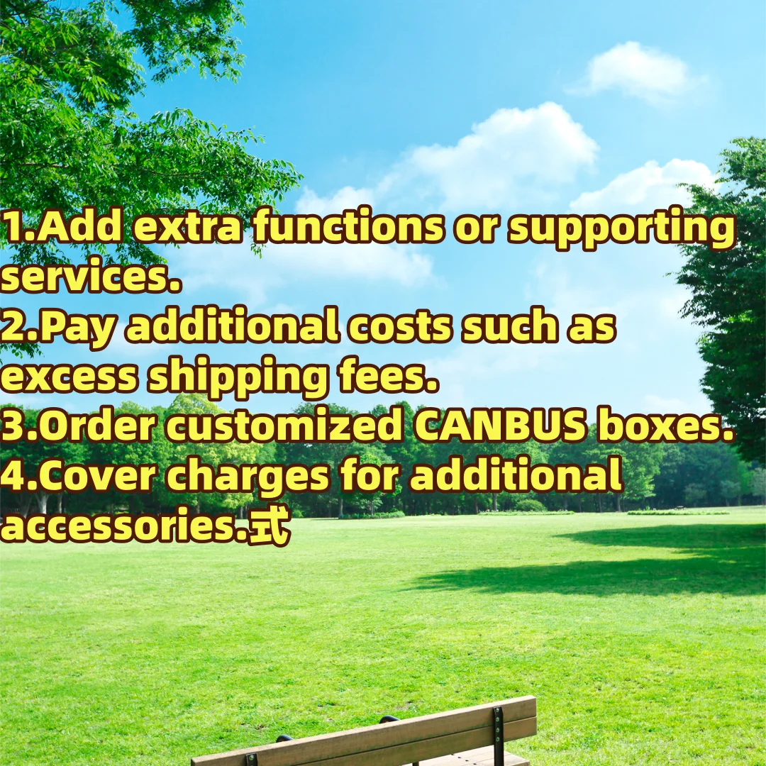 Special Supplementary Payment Link for Additional Services and Custom Requirements