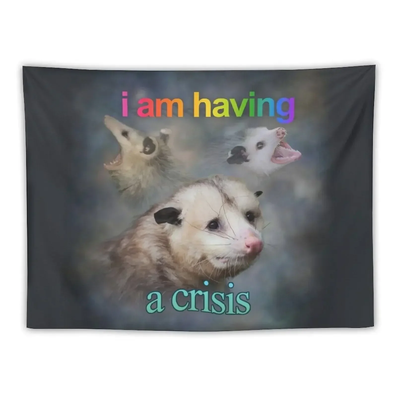 

I am having a crisis possum word art Tapestry Room Decoration Accessories Decorative Wall Mural Wall Coverings Tapestry