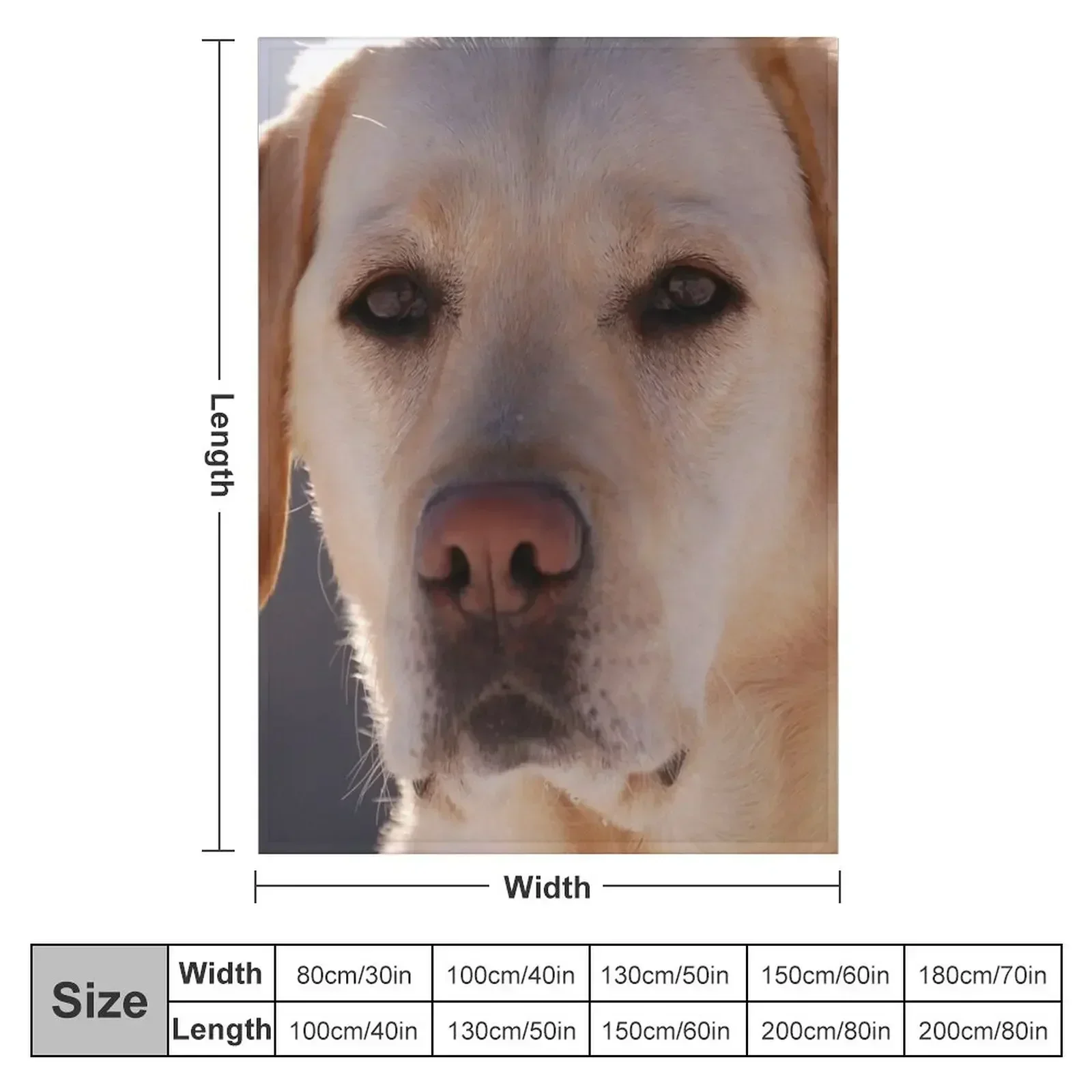 Portrait of A Golden Labrador Dog Throw Blanket Luxury Designer Bed Fashionable manga Blankets