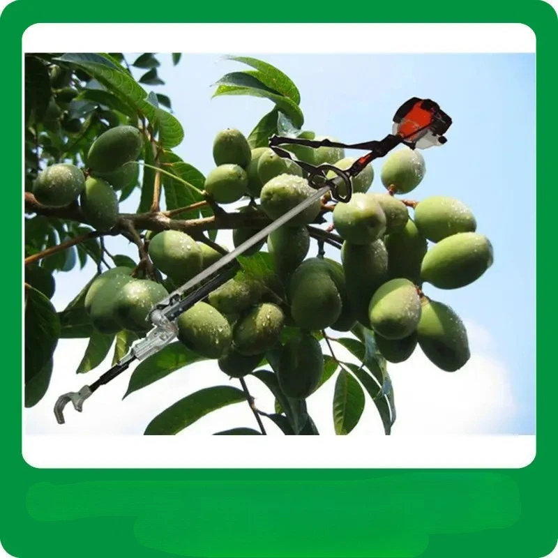 Garden Tool Fruit Picker for Used Olive Picker