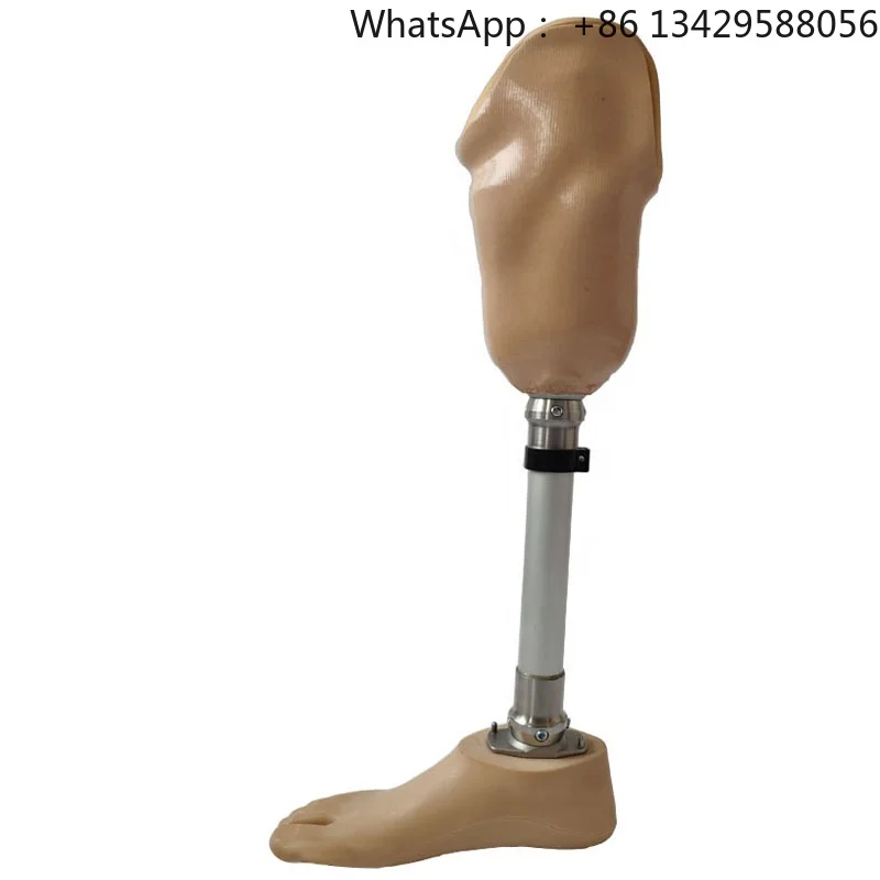 

WDF Artificial Limbs Stainless Steel Transtibial Prosthesis Below Knee Prosthetic Leg