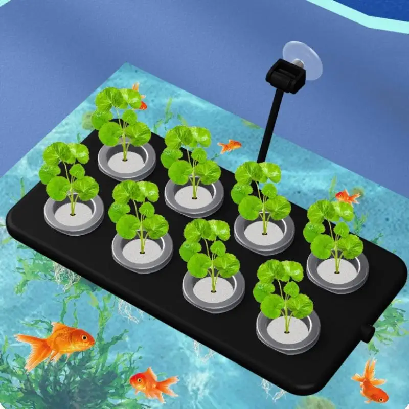 10/30/50 Sets Hydroponic Seedling Basket Kit Square Sponges Seed Stabilization Prevent Drifting Gift