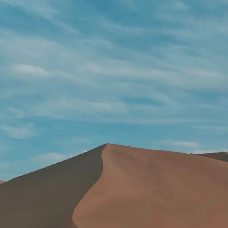 

Цифровой бесщеточный сервопривод KST BLS815 с высоким напряжением, металлическим редуктором, 20 кг, 70 г, 2BB, 6-8.4В, 0.07 с, для радиоуправляемых вертолетов 550-700, радиоуправляемых машин, FPV