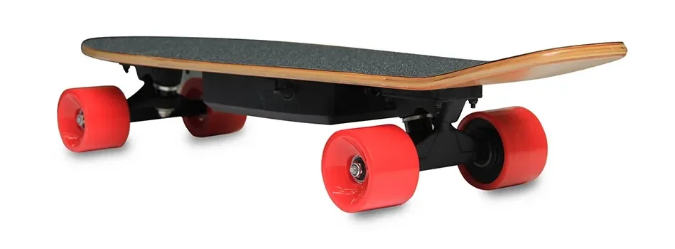 Professional Small Fish Electric Skateboard