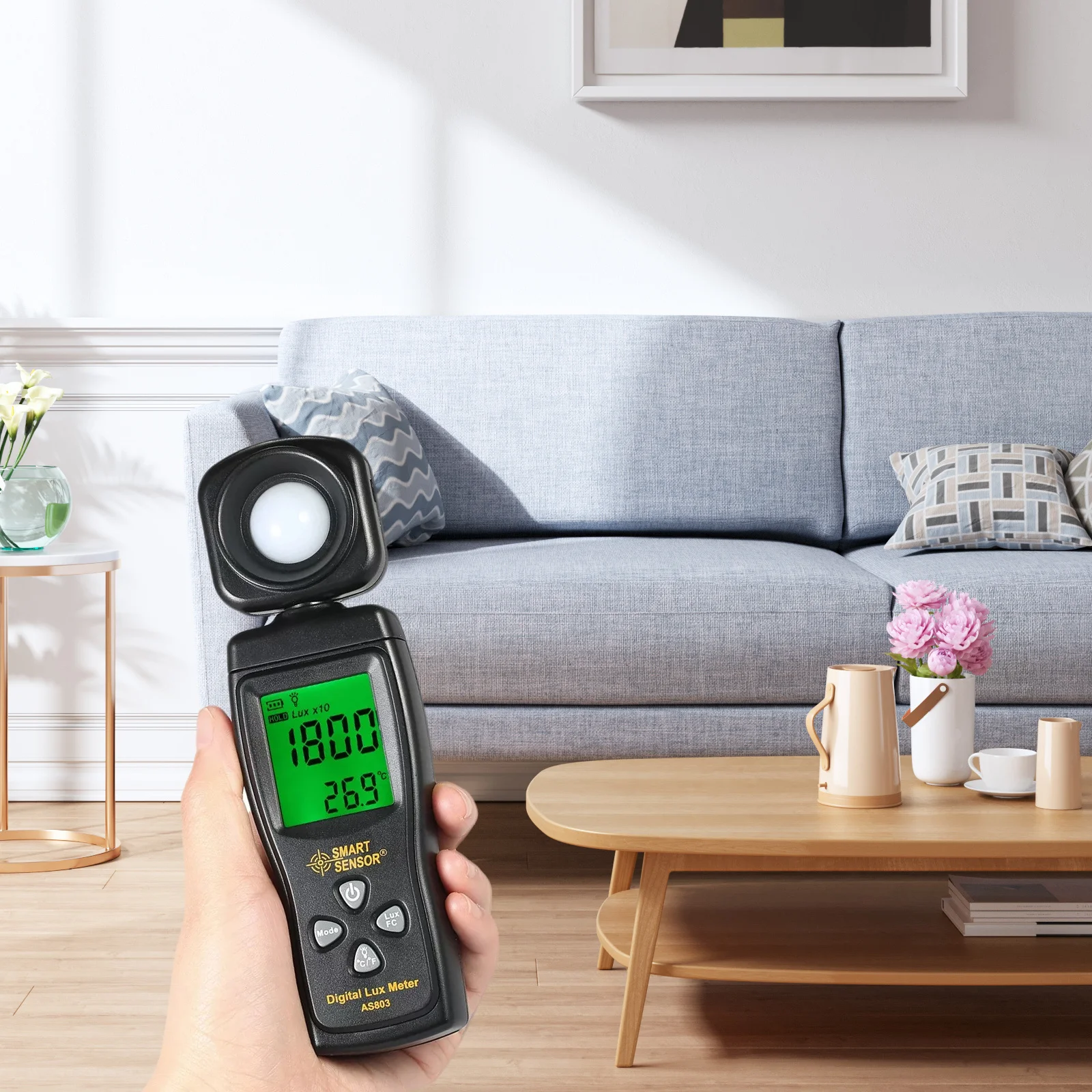 Misuratore di illuminamento del misuratore di luce digitale portatile per piante da interno Fotocamera a pellicola Misurazione accurata della luce del tester Lux