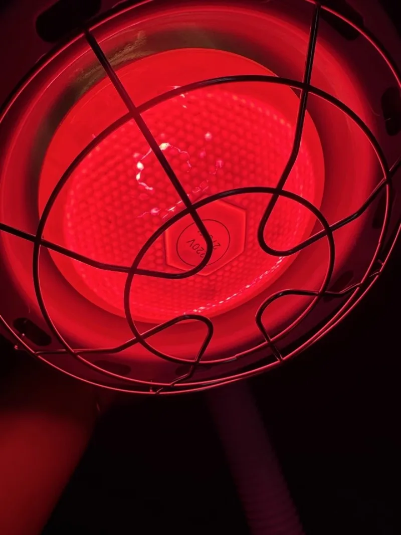 75W Desktop Near Red Infrared Heat Lamp,Infrared Light ,Red Light Therapy For Relieve Joinpt Pain and Muscle Aches,Body Care