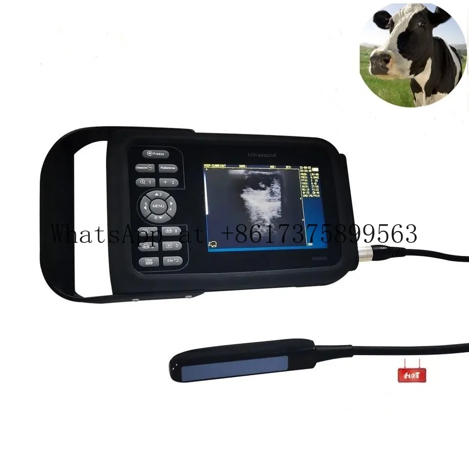 Animal Handheld Digital Portable Veterinary Ultr asound Scanner Machine Linear Probe Horse Vet Pets Ultr asound Device