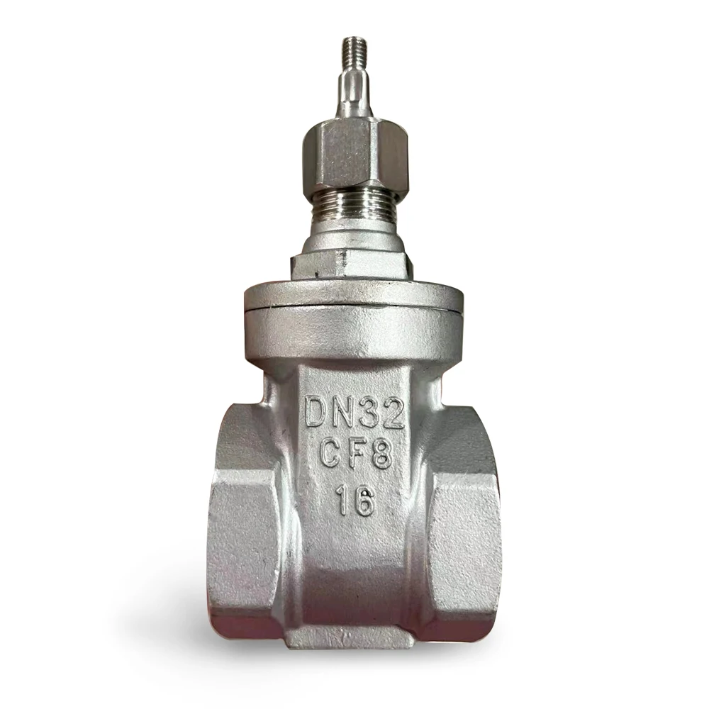 DN150 DN200 DIN3202 SS304 316 Manual Cast Stainless Steel Flange Gate Valve For General Application With CF3 CF8 Body