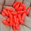 Red-L
