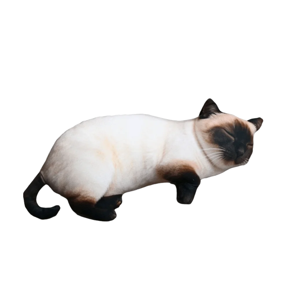 Cute Super Soft Simulated Cat Cushion Cartoon Lifelike Sleep Cushion Realistic PP Cotton Filled Stuffed Animal Sleep Cushion