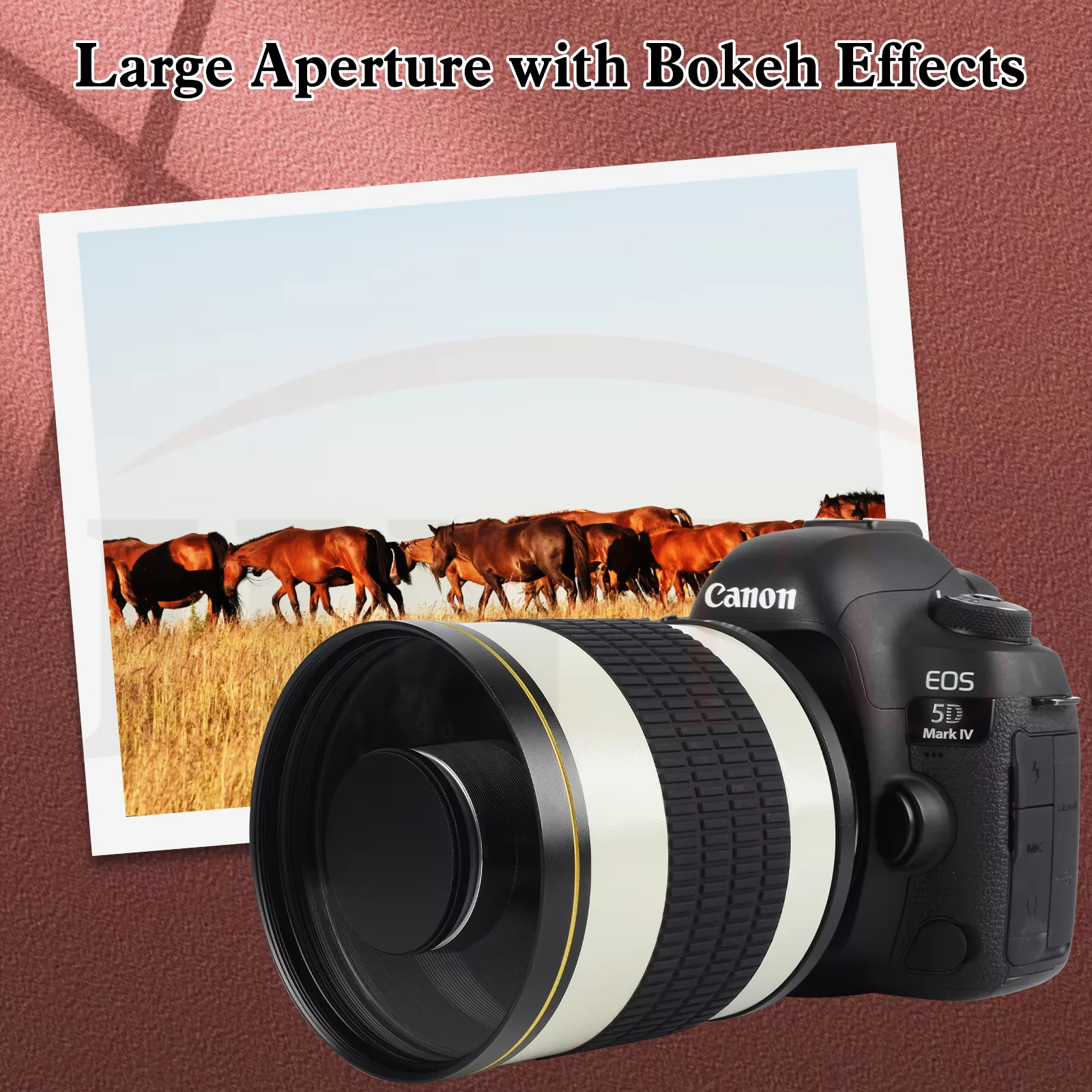 Jintu 500Mm F/6.3 H…