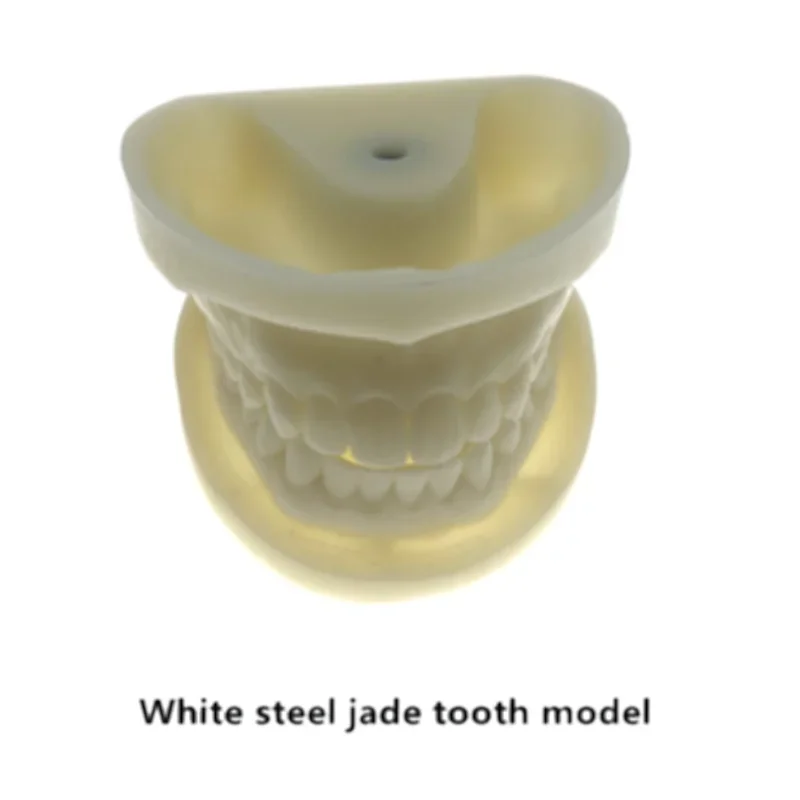 Preparation dental cast mold resin dentistry teaching practice model teeth mode