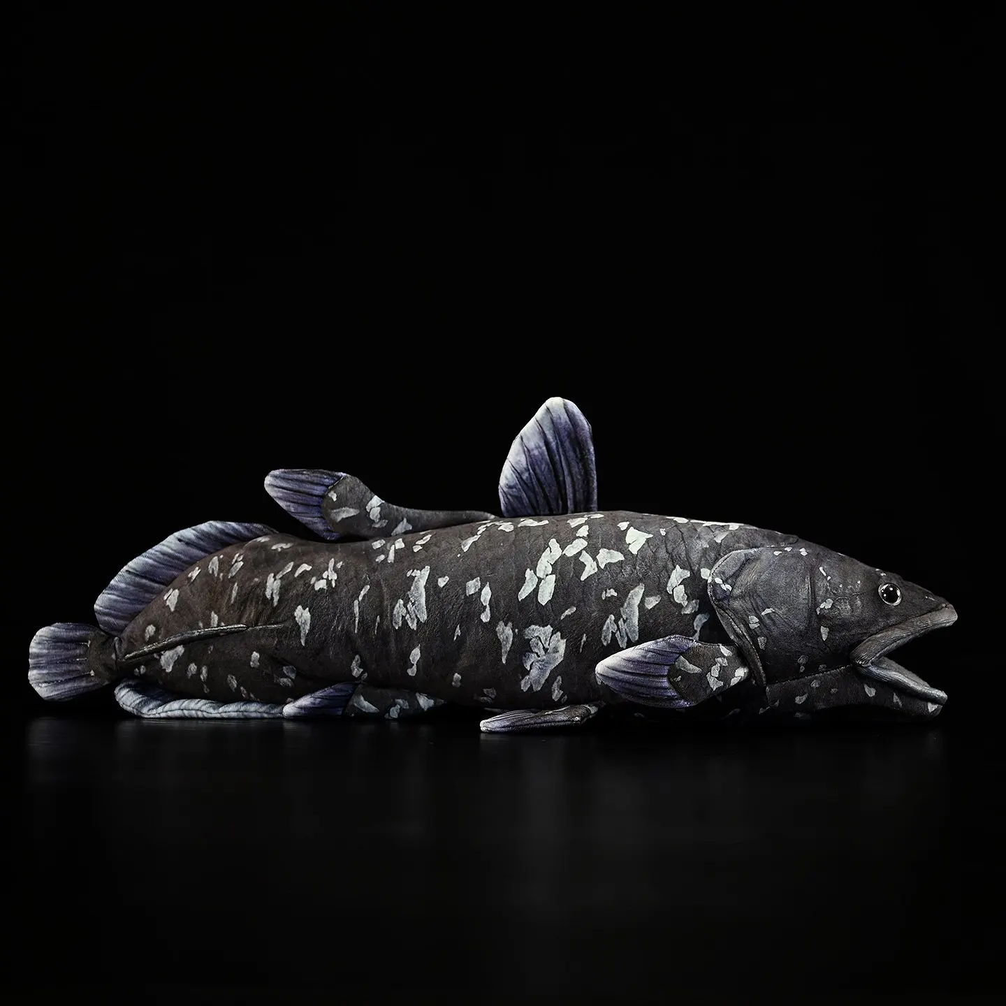 52cm,Simulated Coelacanth, Cute Lance-tailed Fish Stuff, Knickknack,nicknack,Small Ornaments and Miniature Models