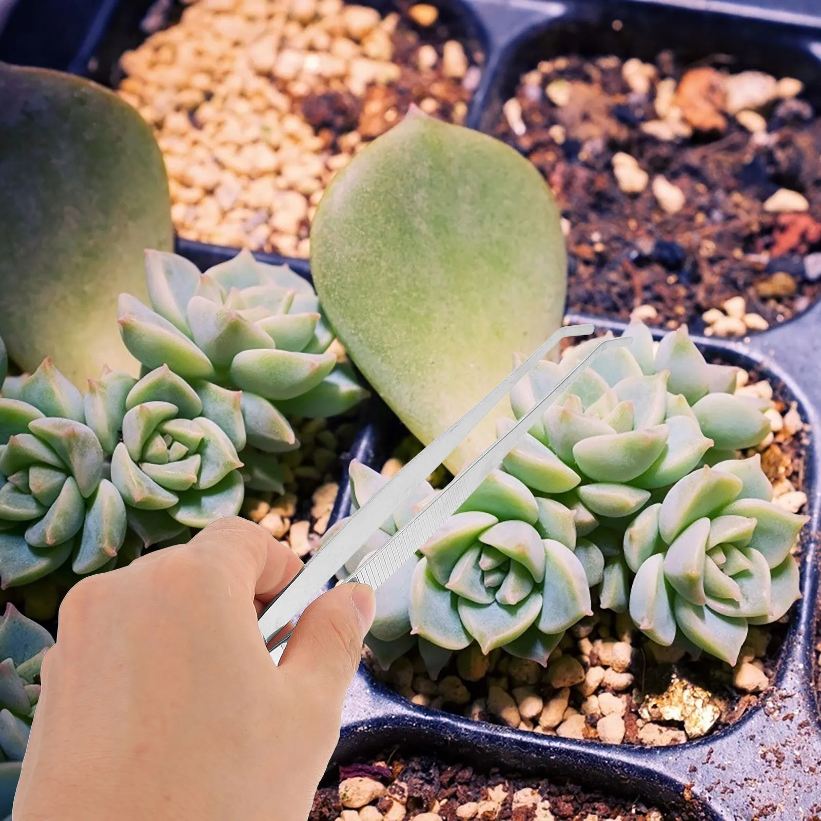 

4pcs Stainless Steel Tweezers Heavy Duty Precision Garden Hand Tools for Succulent Bonsai Home Vegetable Rubber Tips Aquatic