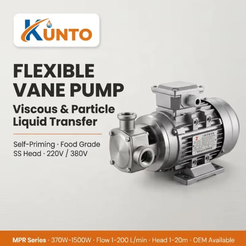 SUS304 Flexible Impeller Pump 30-200L/min Self-Priming Chemical Oil Sludge Viscous Fluid Transfer Pump OEM ODM