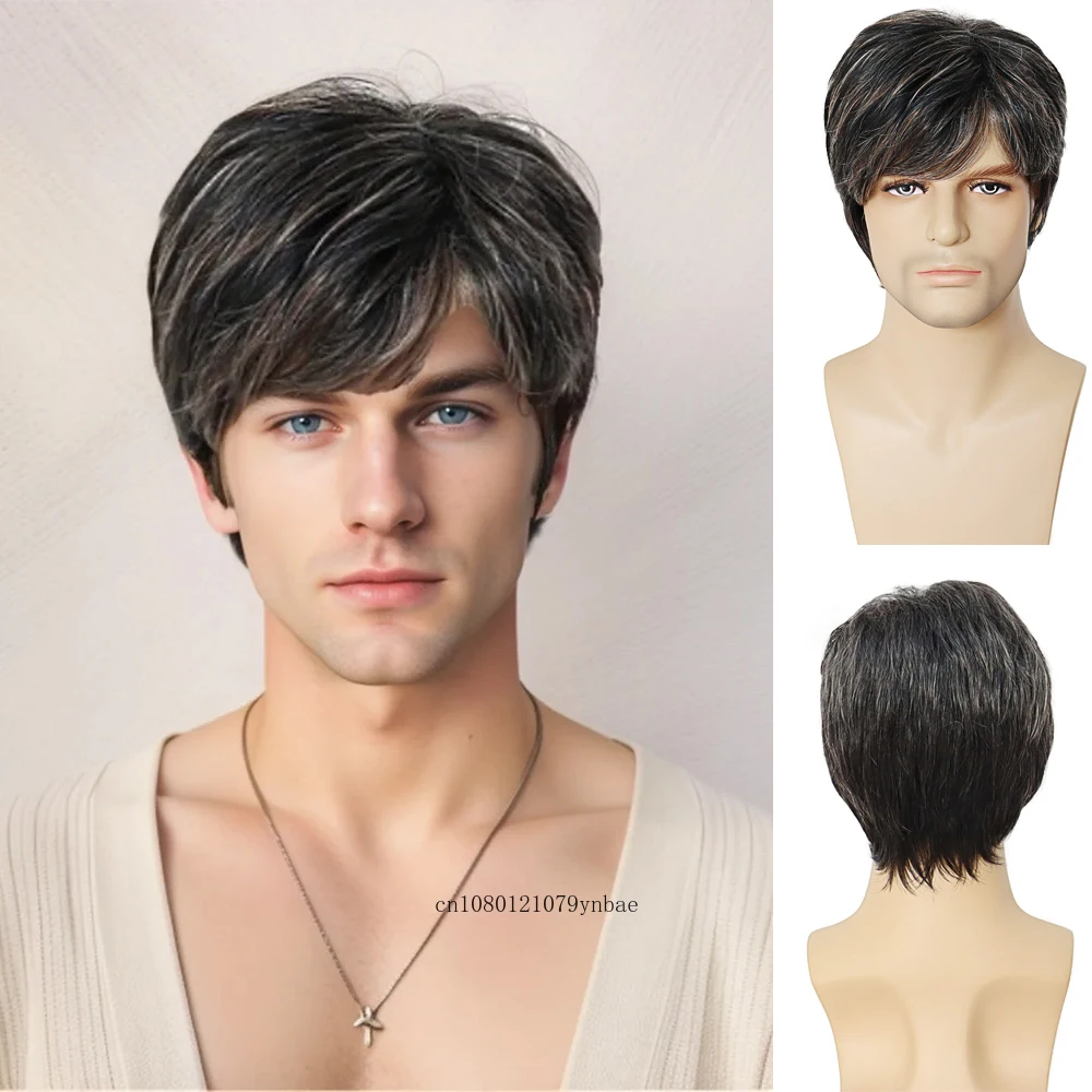 Grey Mix White Wig Natural Synthetic Short Straight Wigs with Bangs for Older Men Male Daily Party Costume Heat Resistant Fiber