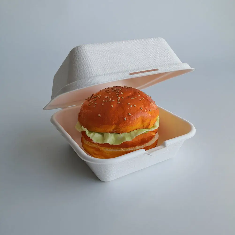 25Pcs Biodegradable Burger Food Takeout Packaging Large Capacity Snack Wrapping Food Storage Containers Picnic Use
