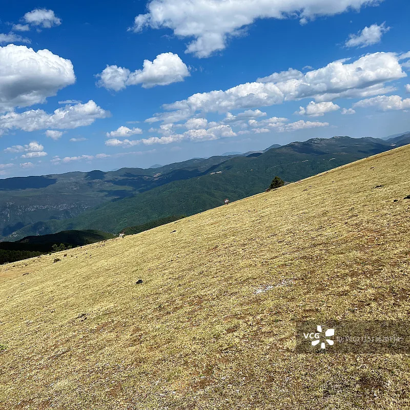 Jx Servo Metal Gear…