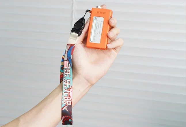 Fiio SK-RR11 Case P…